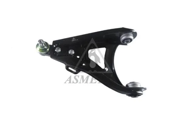 Control/Trailing Arm, wheel suspension (30RN2010)