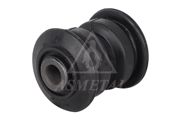 Mounting, control/trailing arm (38VW5021)