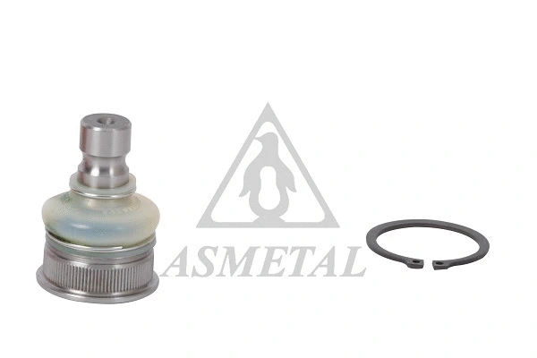 Ball Joint (10NS1200)