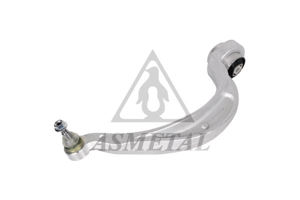 Control/Trailing Arm, wheel suspension (23AU0111)