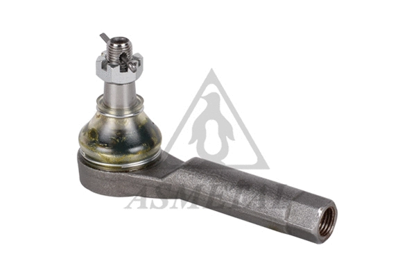 Tie Rod End (17KI0100)