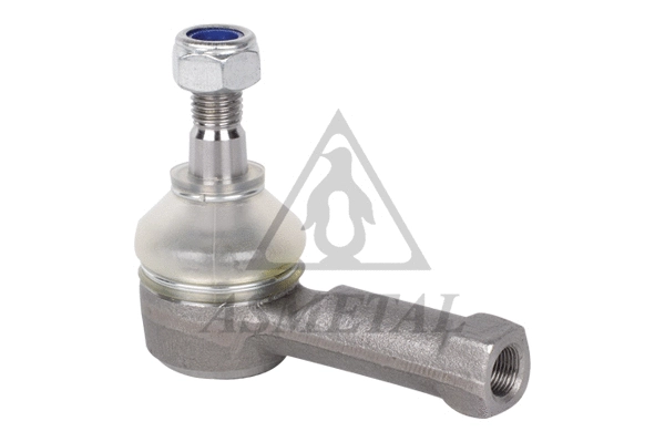 Tie Rod End (17SK1000)