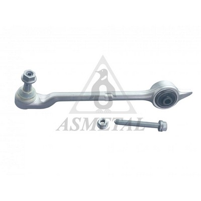Control/Trailing Arm, wheel suspension (23BM0300)