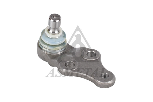 Ball Joint (10KI3000)