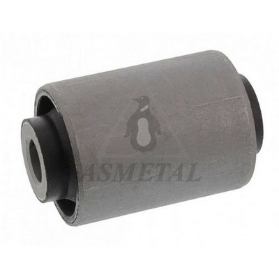 Mounting, control/trailing arm (38AU1302)