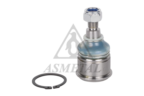 Ball Joint (10RV1005)