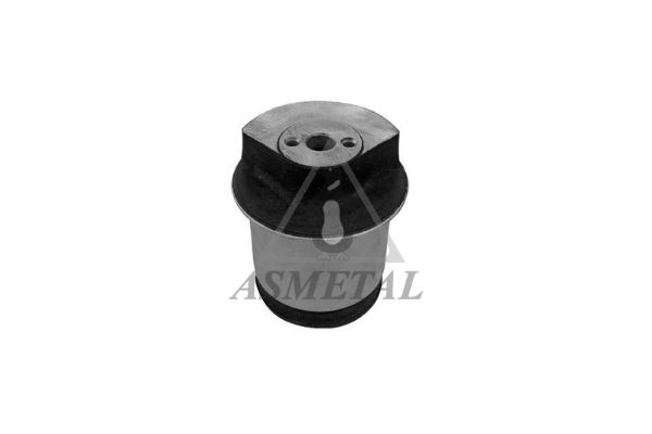 Mounting, control/trailing arm (38OP2010)