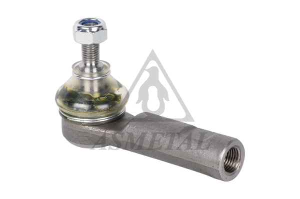 Tie Rod End (17RV2500)