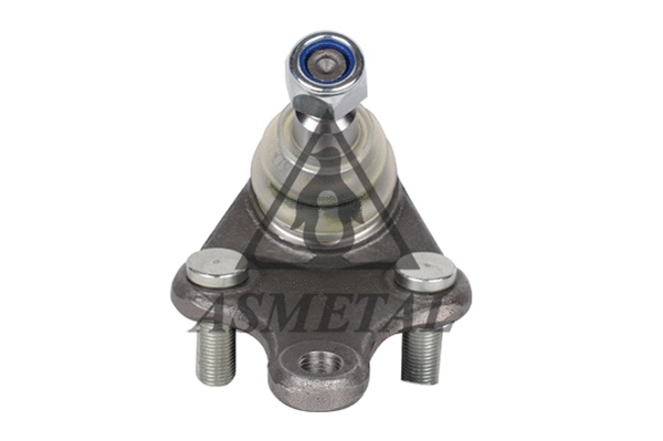Ball Joint (10TY2000)