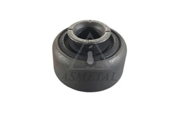 Mounting, control/trailing arm (38RN0516)