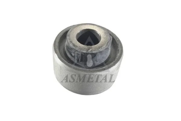 Mounting, control/trailing arm (38RN5610)