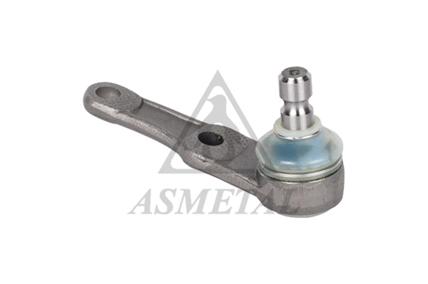 Ball Joint (10MZ02)