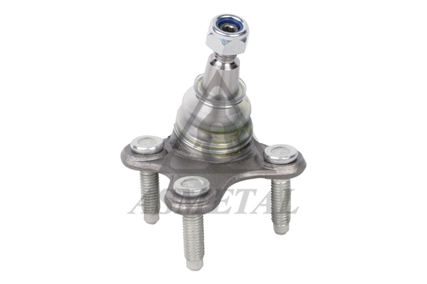 Ball Joint (10VW1605)