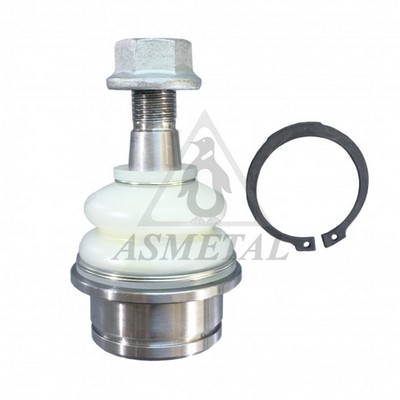 Ball Joint (10NS0120)