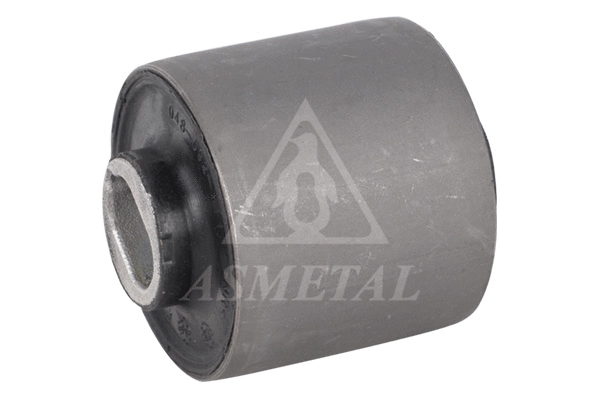 Mounting, control/trailing arm (38MR0705)