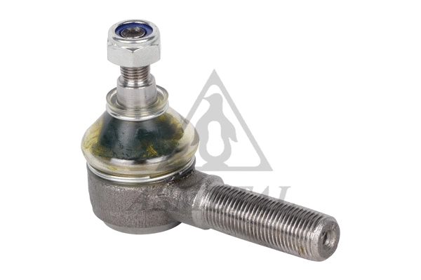 Tie Rod End (17BM0001)