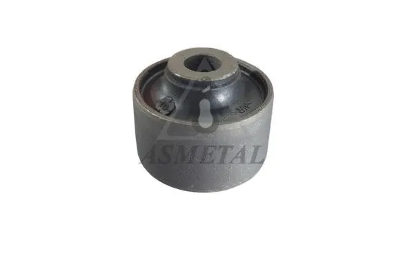 Mounting, control/trailing arm (38NS1010)