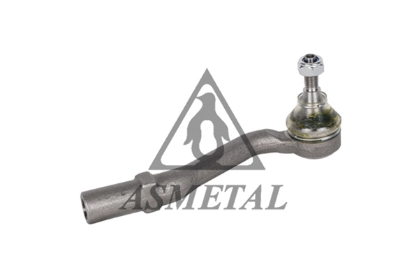 Tie Rod End (17CT0601)