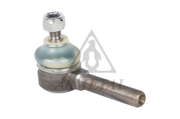 Tie Rod End (17FI2450)