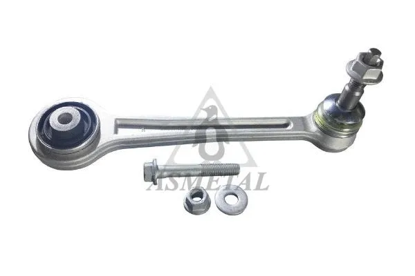 Control/Trailing Arm, wheel suspension (23BM0333)