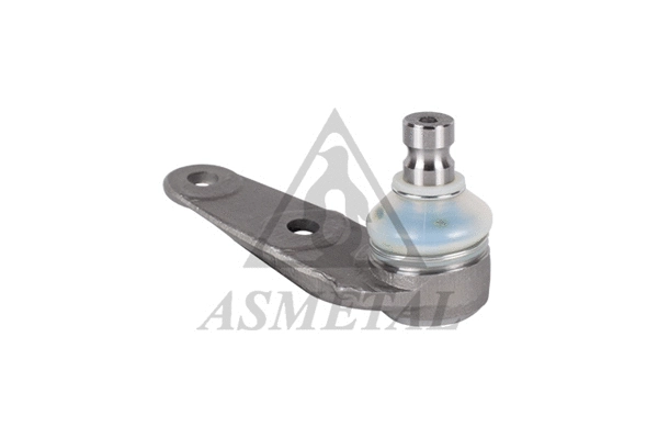 Ball Joint (10AU0601)