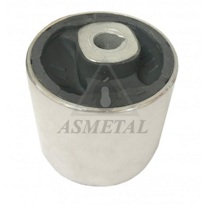 Mounting, control/trailing arm (38AU0120)