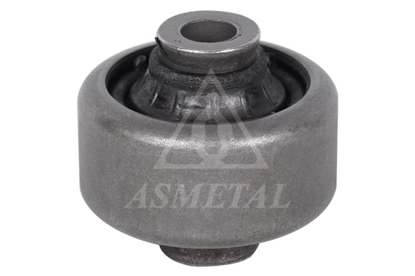 Mounting, control/trailing arm (38RN5542)