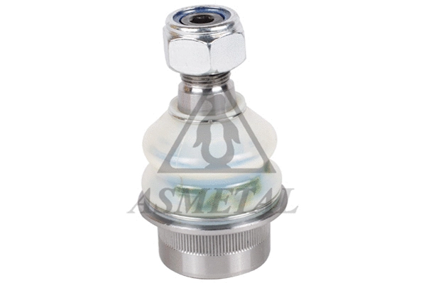 Ball Joint (10MR0101)