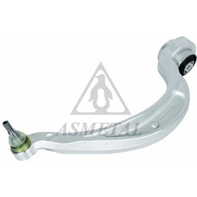 Control/Trailing Arm, wheel suspension (23AU0111B)
