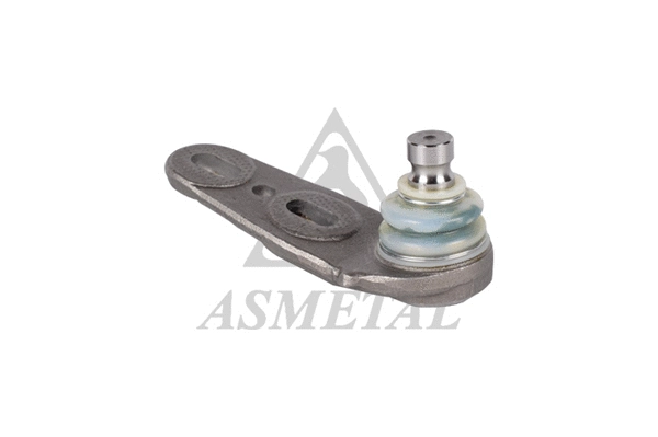 Ball Joint (10AU0201)