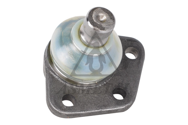 Ball Joint (10VW1001)