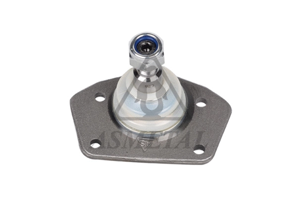 Ball Joint (10RN4055)