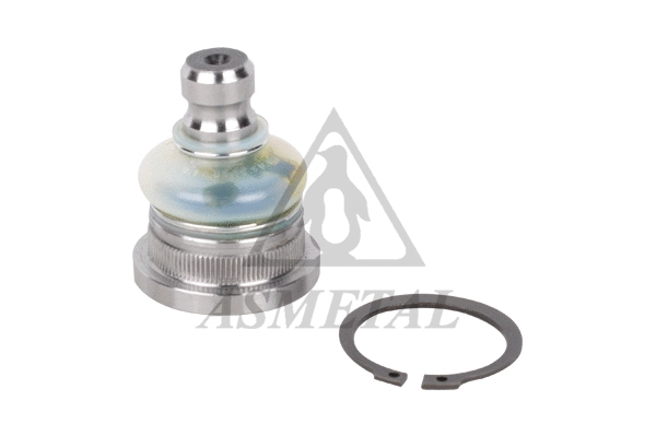 Ball Joint (10RN5541)