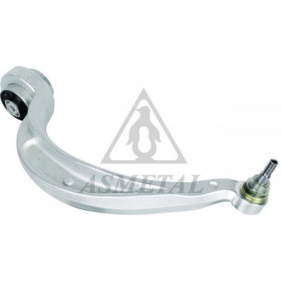 Control/Trailing Arm, wheel suspension (23AU0110B)