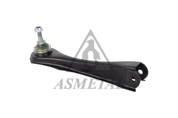 Control/Trailing Arm, wheel suspension (23RN4081)