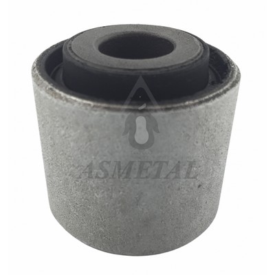 Mounting, control/trailing arm (38VL0504)