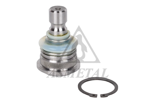 Ball Joint (10NS1000)