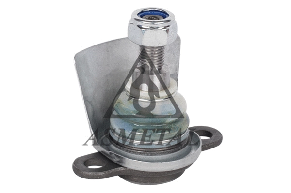 Ball Joint (10VW0500)