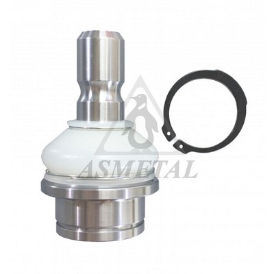 Ball Joint (10NS0100)