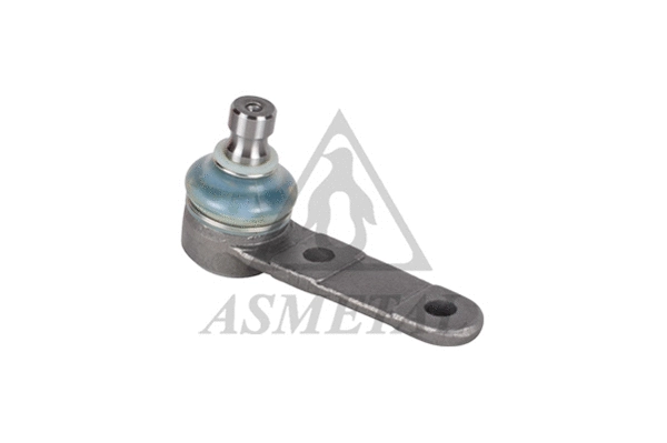 Ball Joint (10FR11)