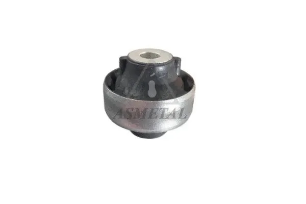 Mounting, control/trailing arm (38RN5545)
