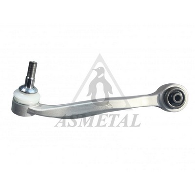 Control/Trailing Arm, wheel suspension (23BM0322B)