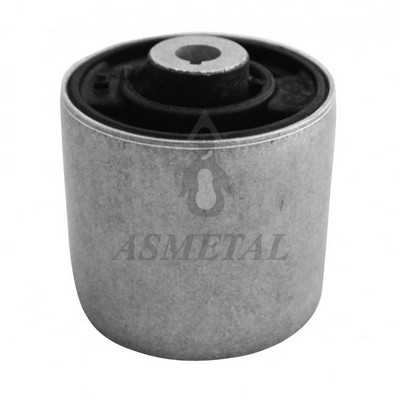 Mounting, control/trailing arm (38AU0140)