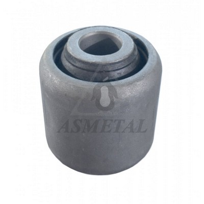 Mounting, control/trailing arm (38BM0420)