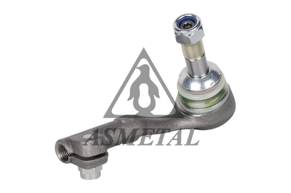 Tie Rod End (17BM2451)