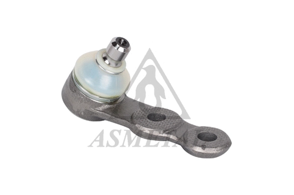 Ball Joint (10OP9128)