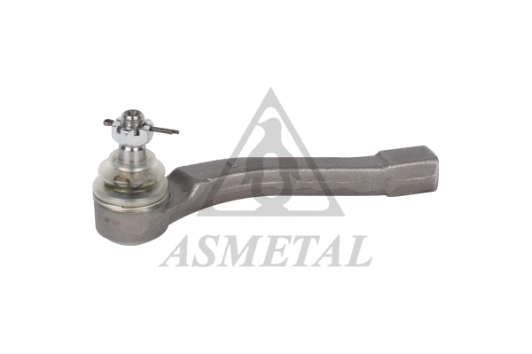 Tie Rod End (17SY0100GP)