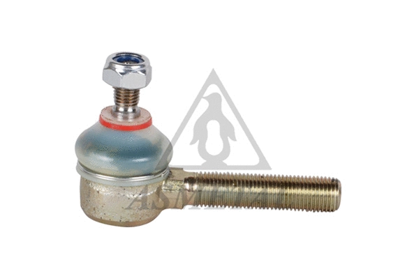 Tie Rod End (17IV43)