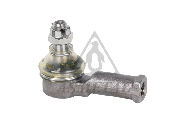 Tie Rod End (17DW0500)