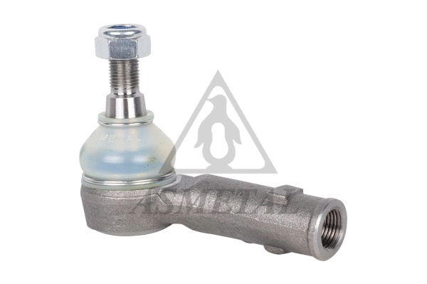 Tie Rod End (17VW31)